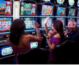 旺财28.ccpc29APP手机版