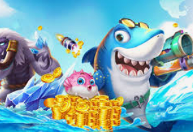 旺财28.ccpc29APP电脑免费版